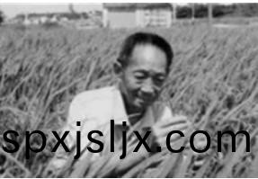 痛(tong)哀袁隆(long)平(ping)院士于(yu)13點(dian)07分(fen)逝世(shi)！